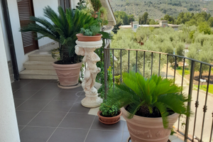 Casa Vacanze La Selva