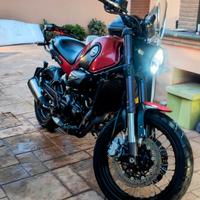 Benelli Leoncino 500 Trail - 2020