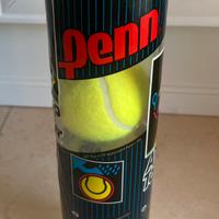 Palline da tennis Penn ATP Tour