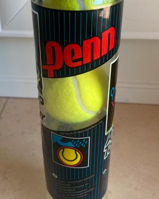 Palline da tennis Penn ATP Tour