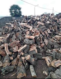 legna da ardere secca 