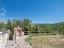 Immagine 11
