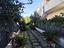 Immagine 11