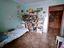 Immagine 23