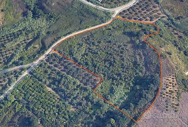 Terreno agricolo a Partinico, Contrada Valguarnera