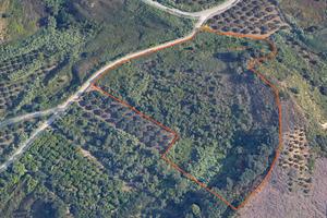 Terreno agricolo a Partinico, Contrada Valguarnera