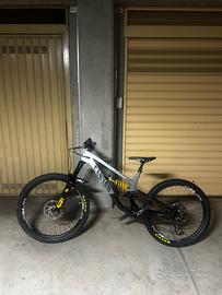 Canyon Torque Fabio Wibmer