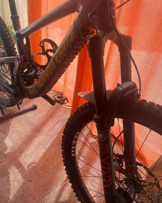 bicicletta da enduro 