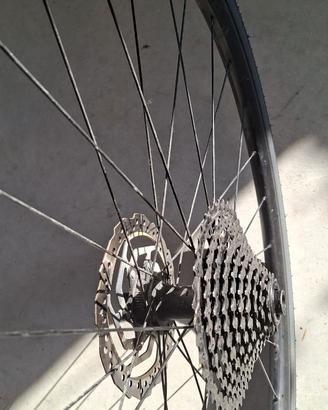 CERCHI SPECIALIZED GRAVEL DA 28 CON COPERTONI NUOV