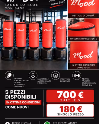 Sacchi da boxe
