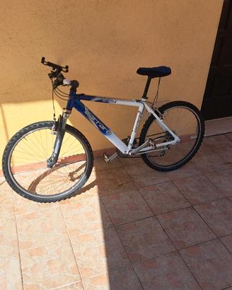 Mountainbike usata