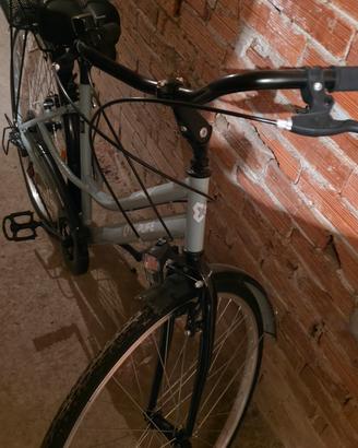 bicicletta da donna 