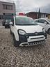 fiat-panda-1-0-firefly-s-s-hybrid-city-cross
