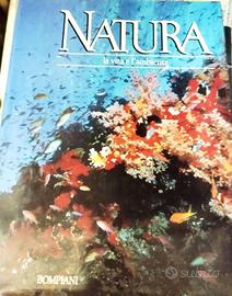 Enciclopedia NATURA La Vita e l'Ambiente Bompiani