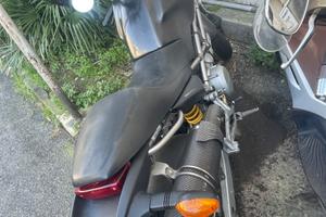 Ducati monster