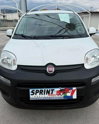Fiat Panda 4x4 van 2 posti