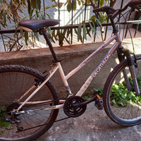 Mountain bike donna