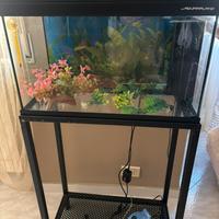 Acquario 60 lt