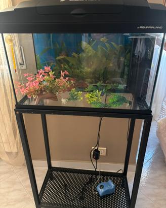 Acquario 60 lt