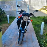 Triumph Altro modello - 1994