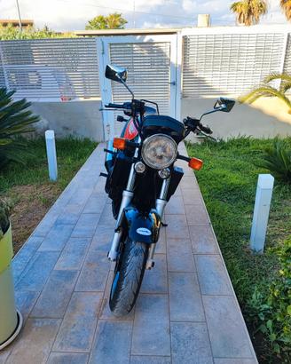 Triumph Altro modello - 1994