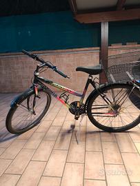 Bicicletta con cestino 