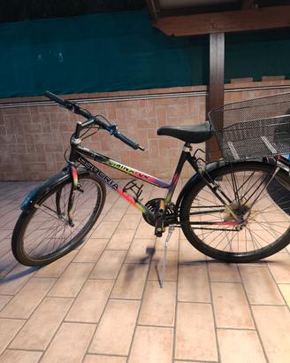 Bicicletta con cestino 