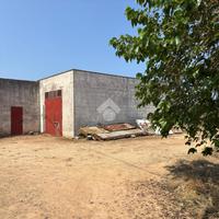 TER. AGRICOLO A ALEZIO