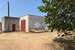 TER. AGRICOLO A ALEZIO