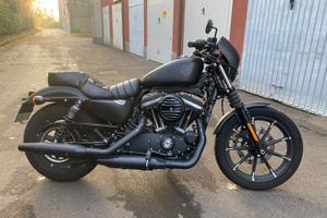 Harley-Davidson Sportster 883 - 2020