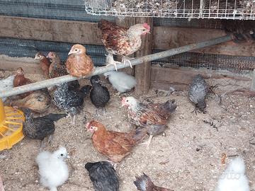 INCROCI tra oliver egger e legbar