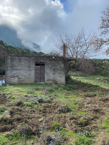 Gratteri fondo agricolo con immobile