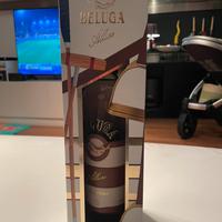 Beluga Allure