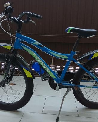 bicicletta