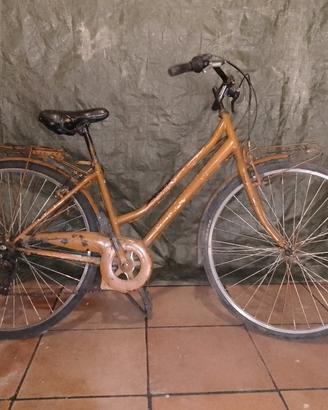 bicicletta 