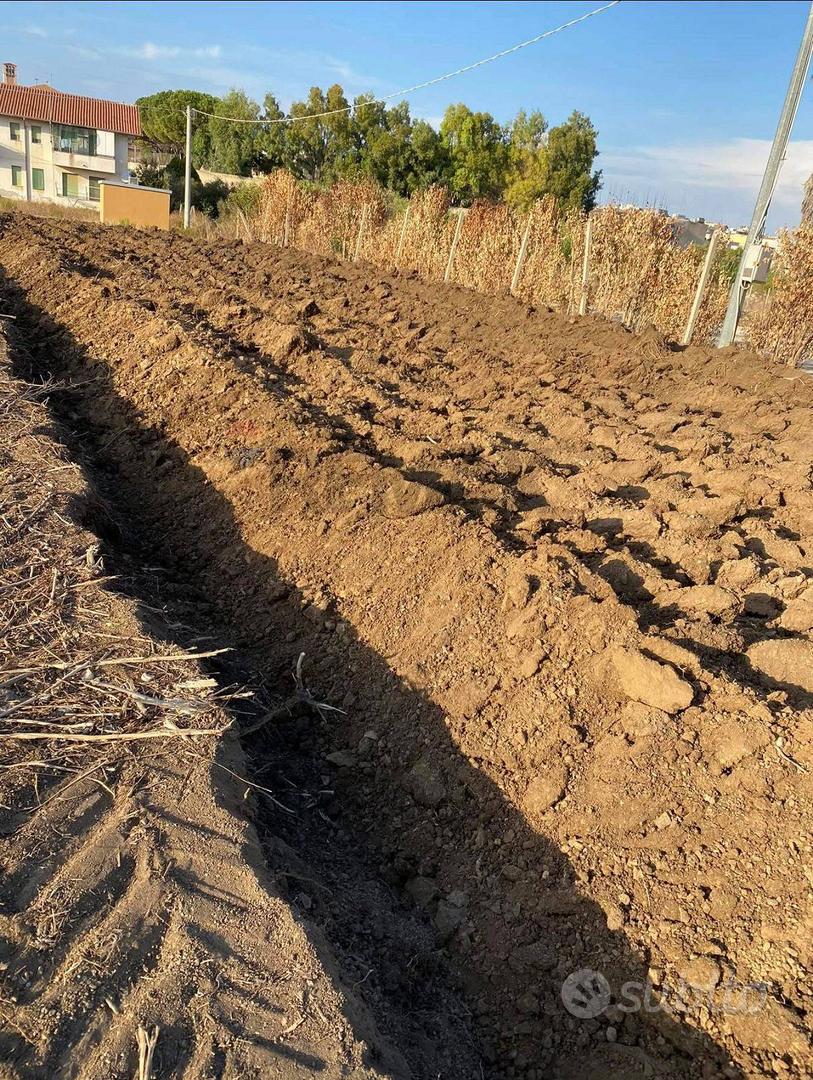 Terreno - Pachino - Vista 4