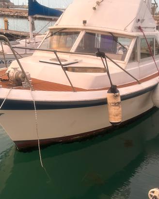 Barca motore Natante diesel linea d'asse