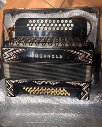 hohner organic fisarmonica a bottoni