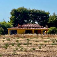 Villino indipendente in Sardegna