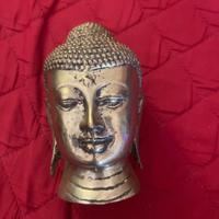 Testa di Budda