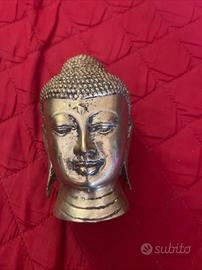 Testa di Budda