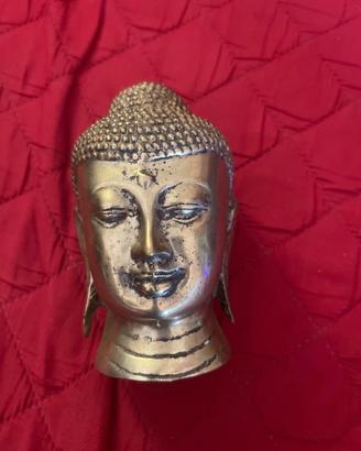 Testa di Budda
