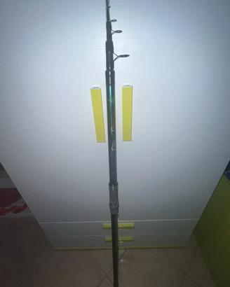 Attrezzatura Surf casting
