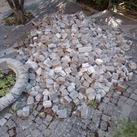 Sampietrino tozzetto