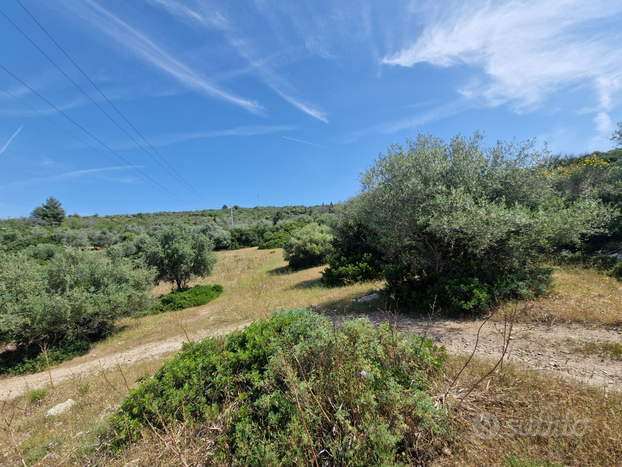 Logulentu terreno 5 ettari progetto approvato