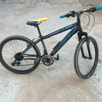 Bicicletta lombardo 24
