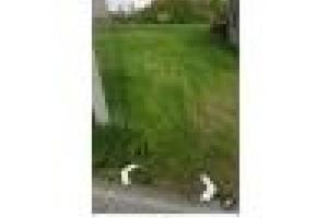 Terreno agricolo con capannone