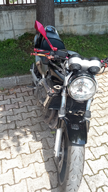 Honda Hornet