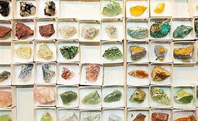 minerali e fossili