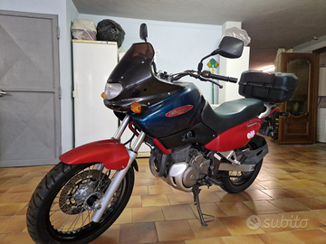 SUZUKI XF 650 Freewind